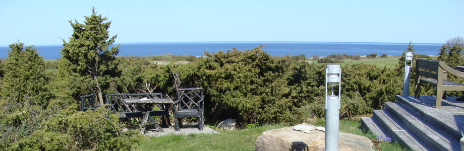 pageImage